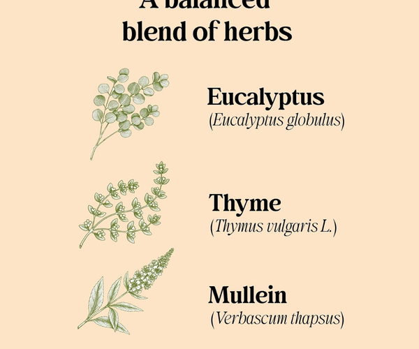 Thyme Eucalyptus Mullein Herbal Tea