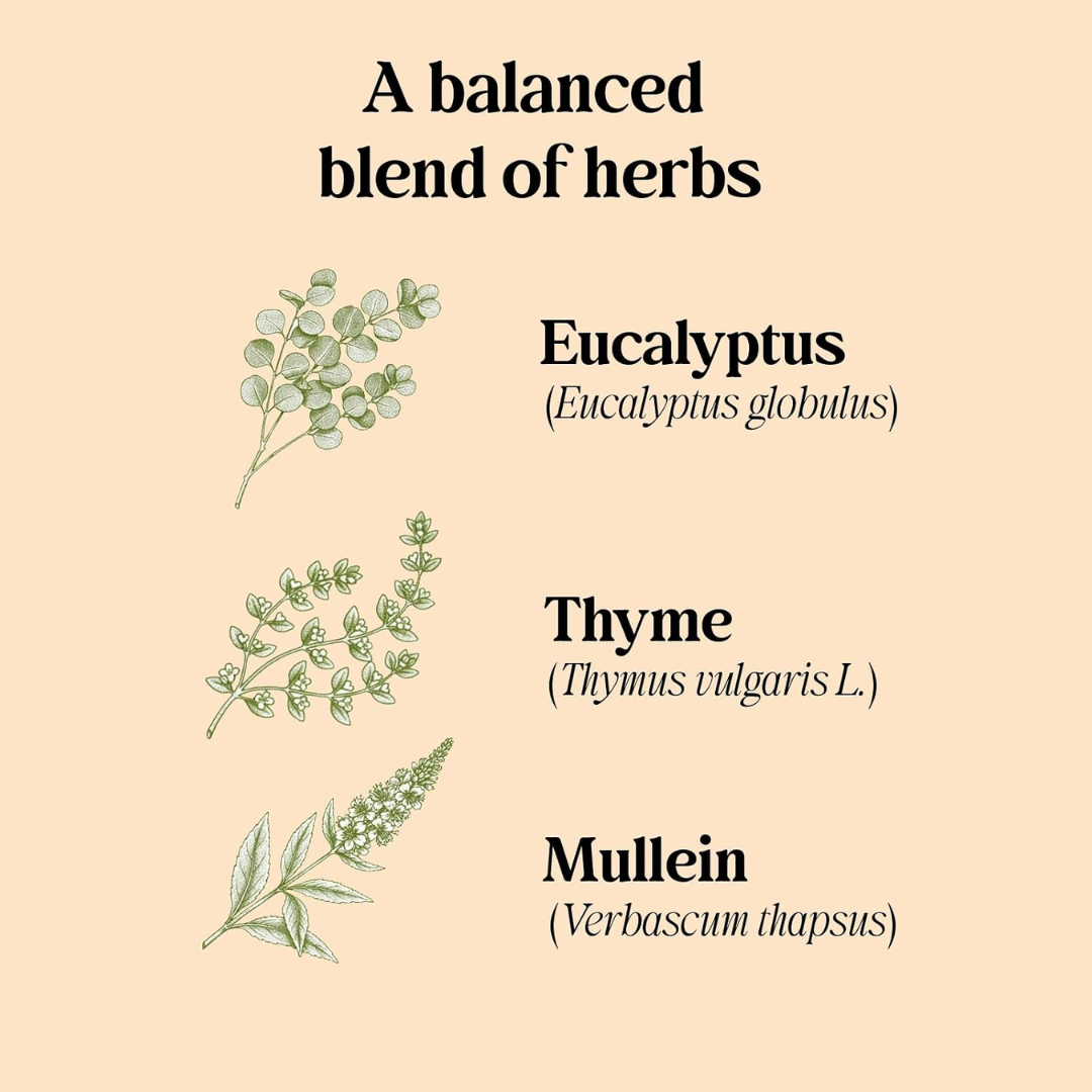 Thyme Eucalyptus Mullein Herbal Tea