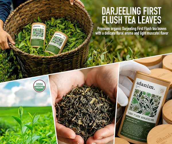 Adanim Bio Darjeeling First Flush loose tea