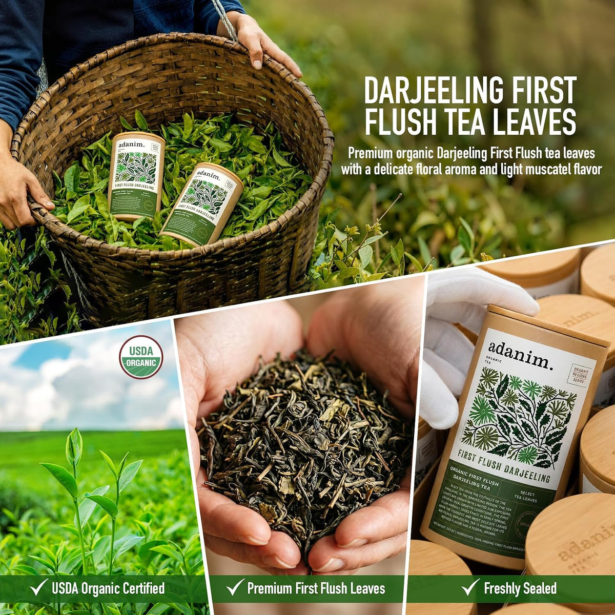 Adanim Bio Darjeeling First Flush loose tea