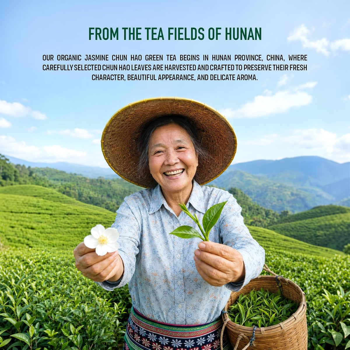 Adanim Bio Jasmine Chunao Green Tea Loose tea